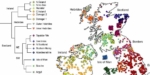 Genetische Karte von Schottland