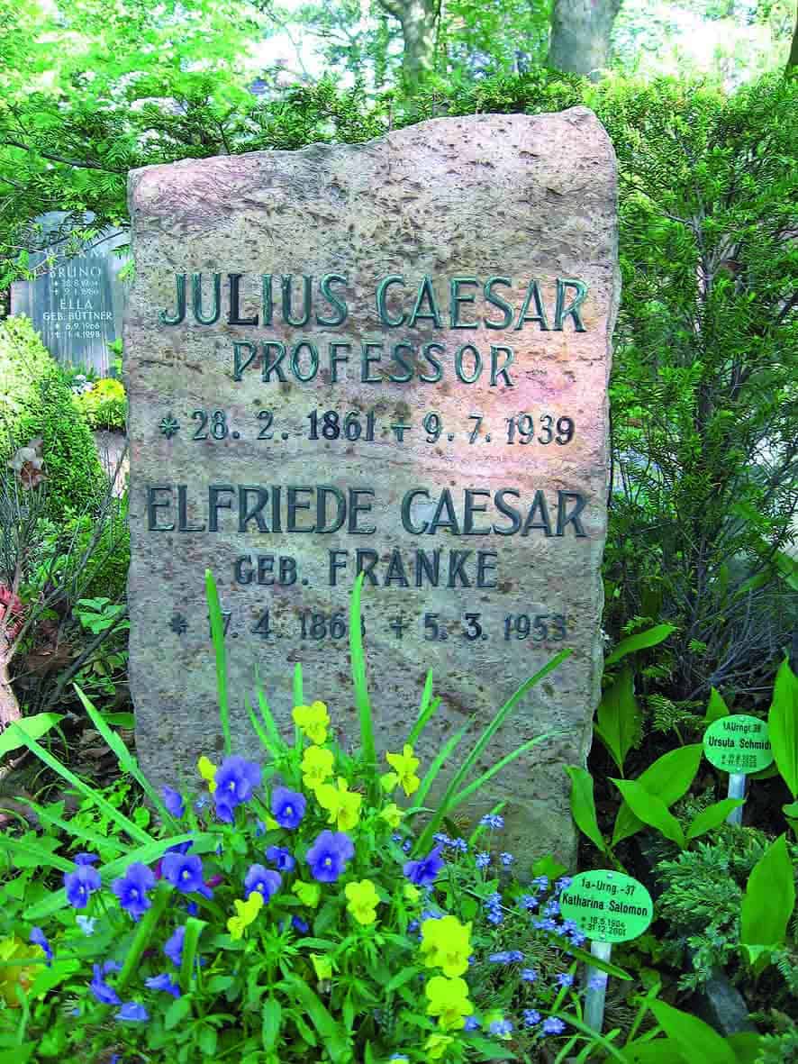 Ein Grab Von Julius Caesar Gefunden Verein Fur Computergenealogie E V Compgen