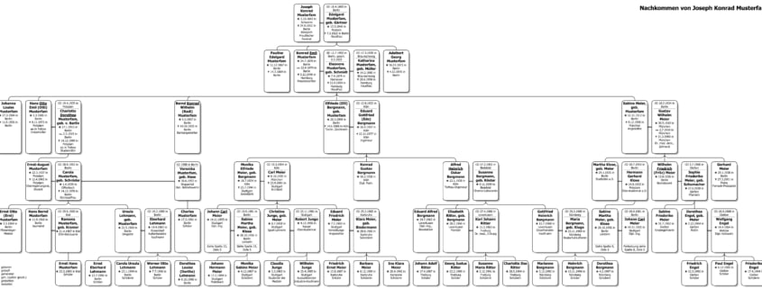 Darstellung im Stammbaumdrucker Version 8.0.3.3