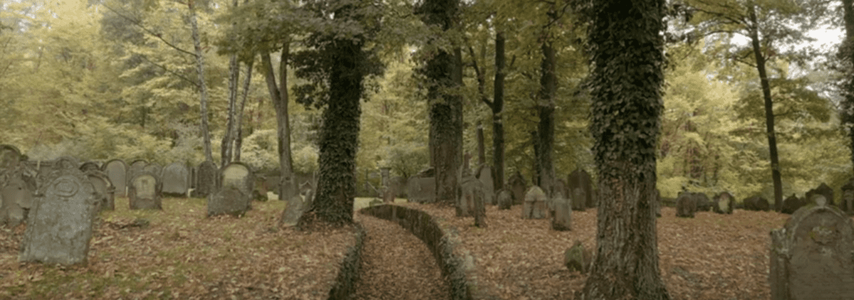 Jüdischer Friedhof Walsdorf