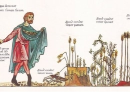 Mittelalter Ernte