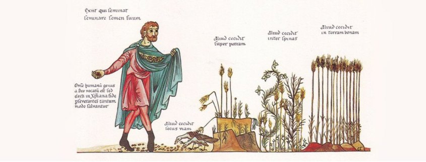 Mittelalter Ernte