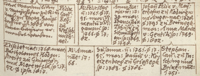 Ausschnitt aus Tafel Mayrhofen zu „Genealogien des Tiroler Adels“