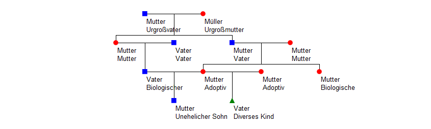Darstellung einer komplexen Musterfamilie (hier mit AhnenImplex visualisiert)