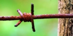 Stacheldraht