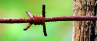 Stacheldraht