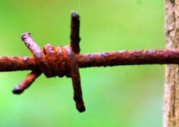 Stacheldraht