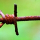 Stacheldraht