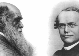 Charles Darwin und Gregr Mendel