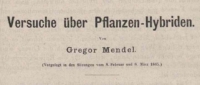 Gregor Johann Mendel: Versuche