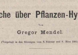 Gregor Johann Mendel: Versuche