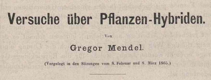 Gregor Johann Mendel: Versuche