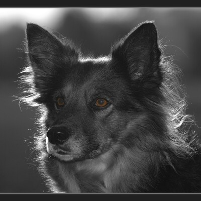 Gugg' e ma da 🇪🇺