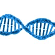 DNA Doppelhelix